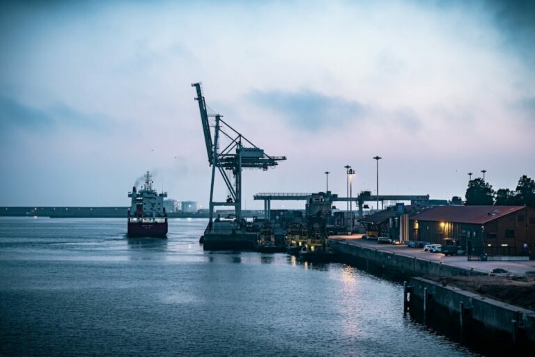 blue crane on dock during daytime